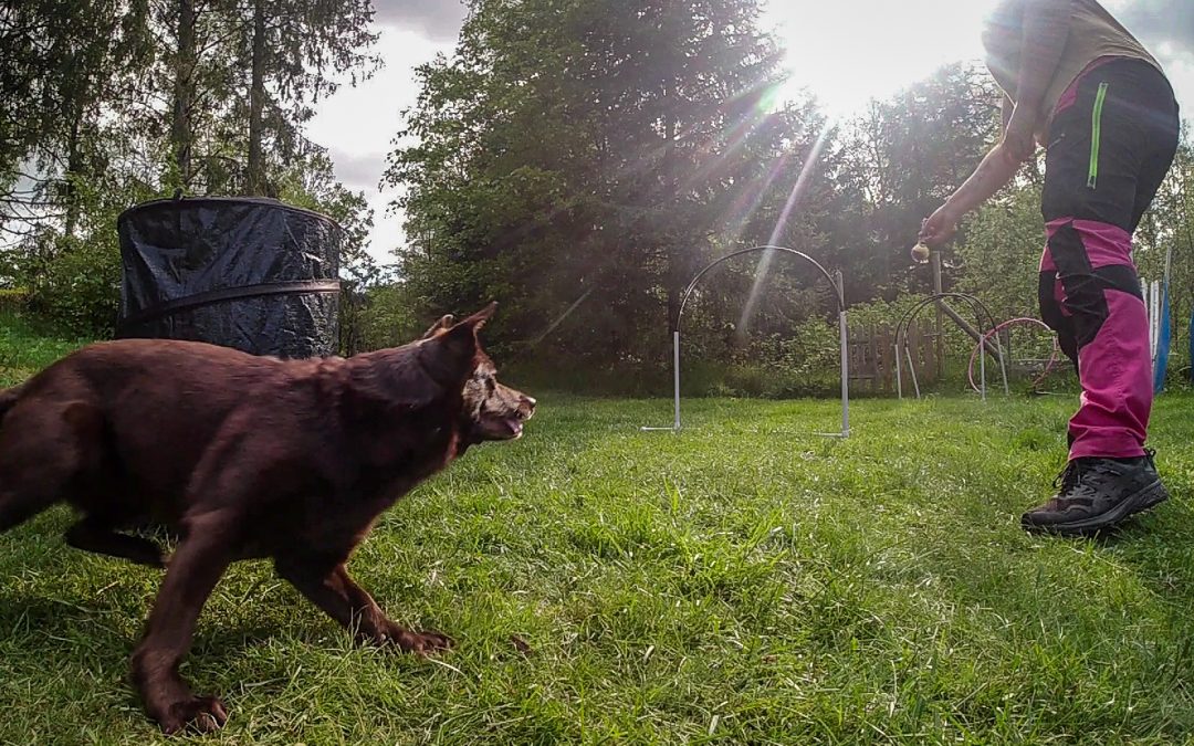 Varför?