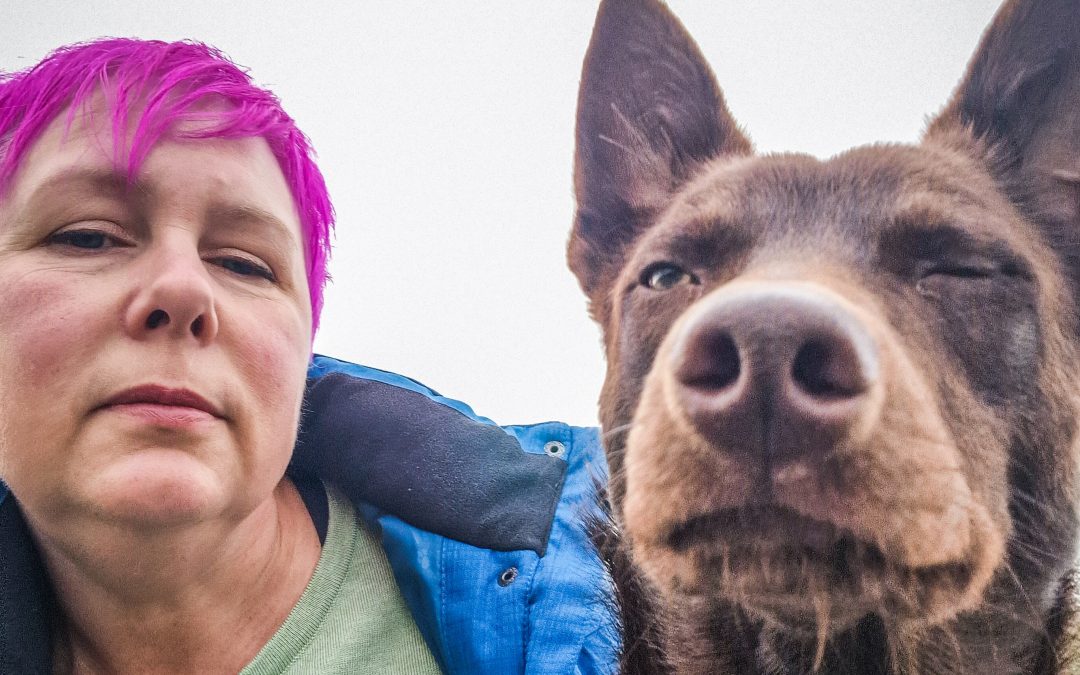 Med hunden som kollega