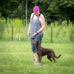 ONLINE: 2 månaders Bootcamp i rallylydnad, start 1/9