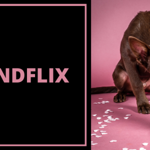 Hundflix